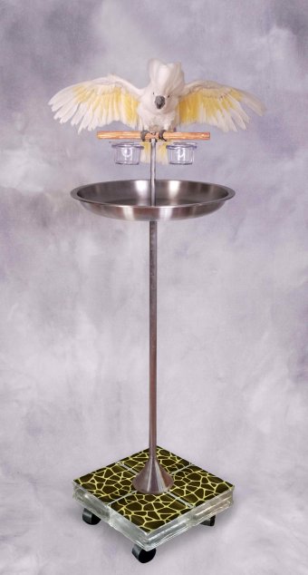 Unipod T Stand