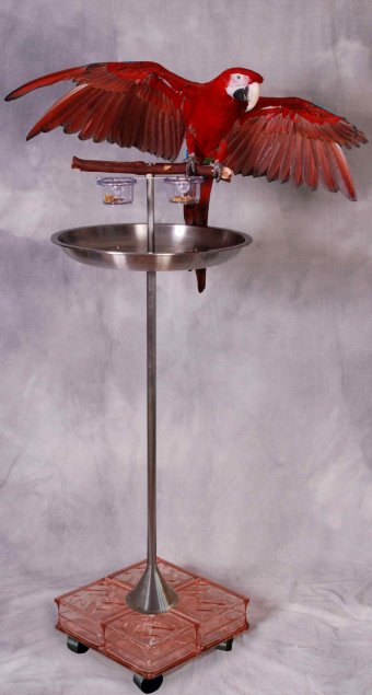 Unipod T Stand
