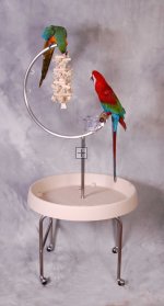 Quadripod Large C Stand