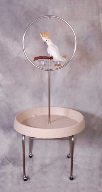 Quadripod Medium Ring Stand