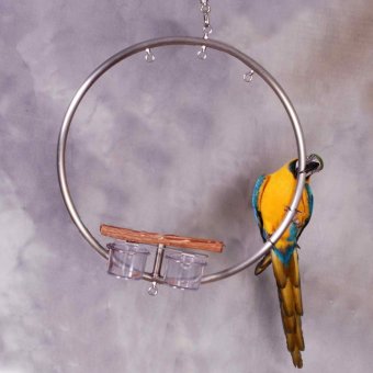 Large WingRing