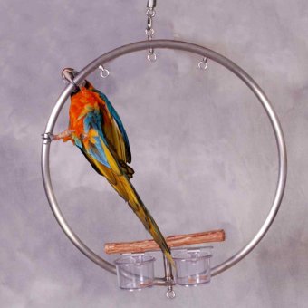 Large WingRing