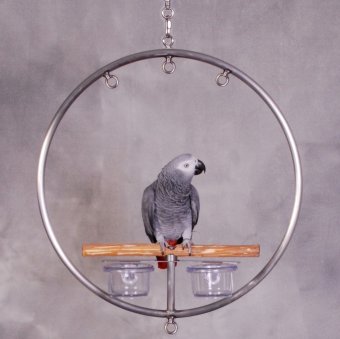 Small WingRing