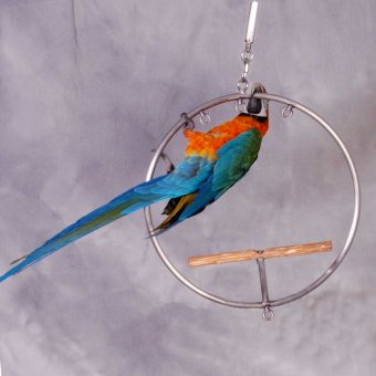 Small WingRing