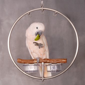 Small WingRing