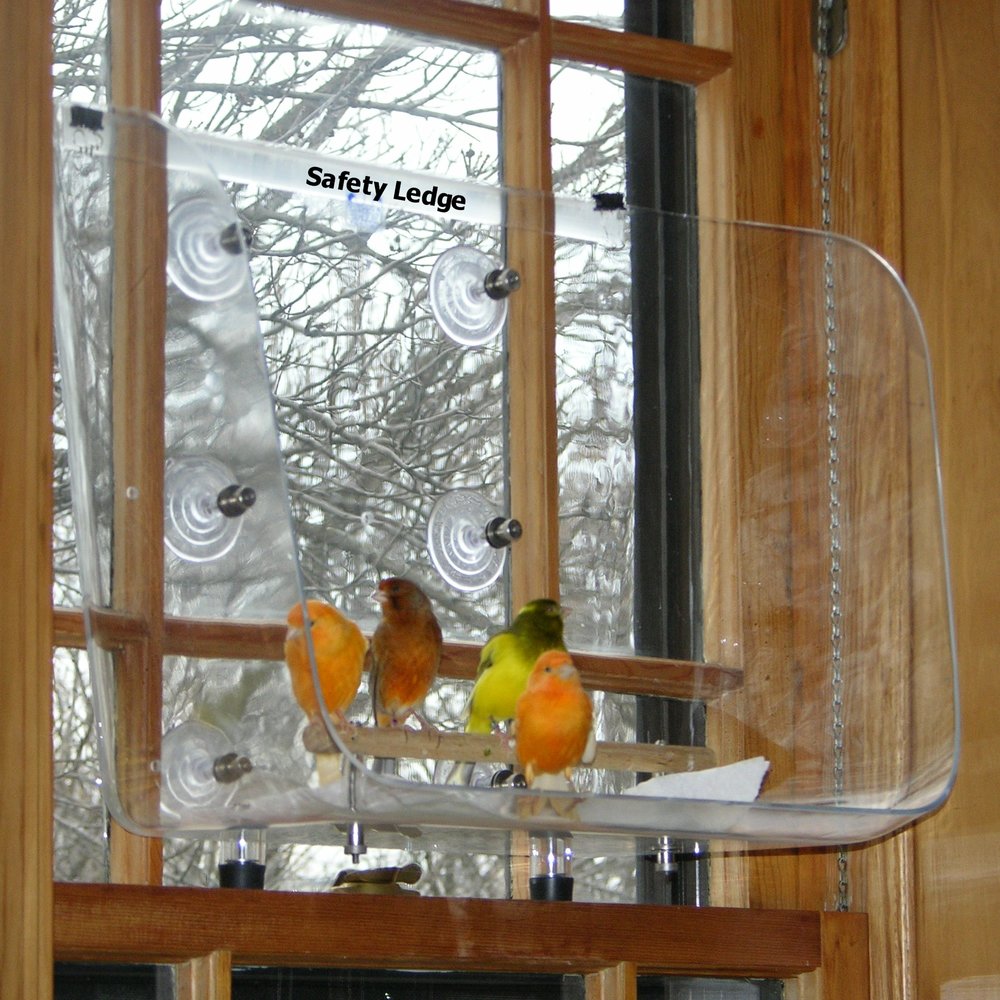Small Bird Safety Ledge Safety ledge for small birds [SLDGE] It's